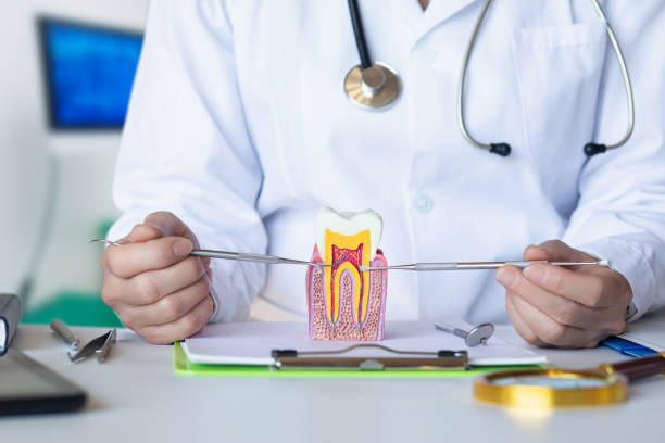 Best Broken or Chipped Tooth Repair in Green Island, NY